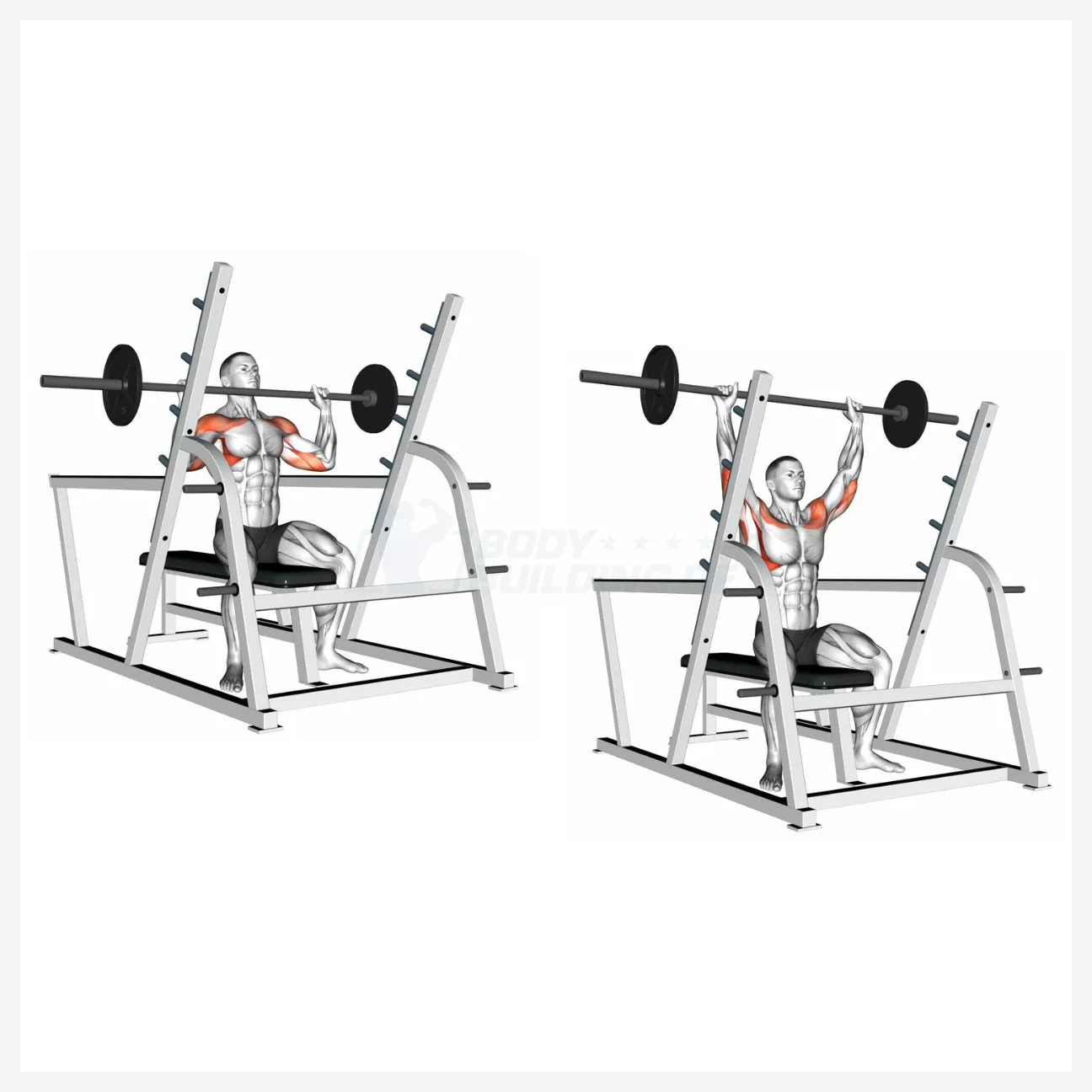 Fitnessuebung Military Press sitzend am Rack