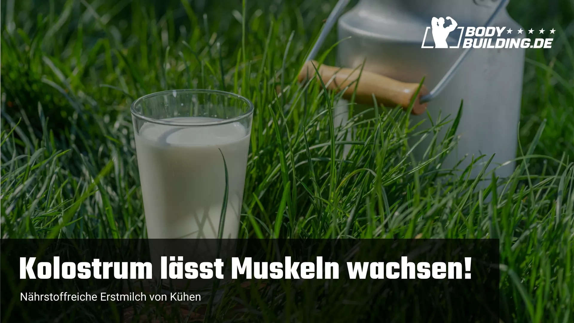 Kolostrum laesst Muskeln wachsen